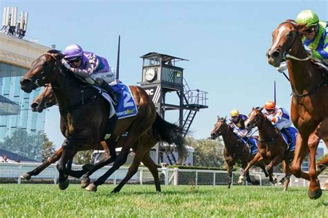 blue diamond stakes odds|Blue Diamond Stakes Odds, Tips, Field, Betting and Results.